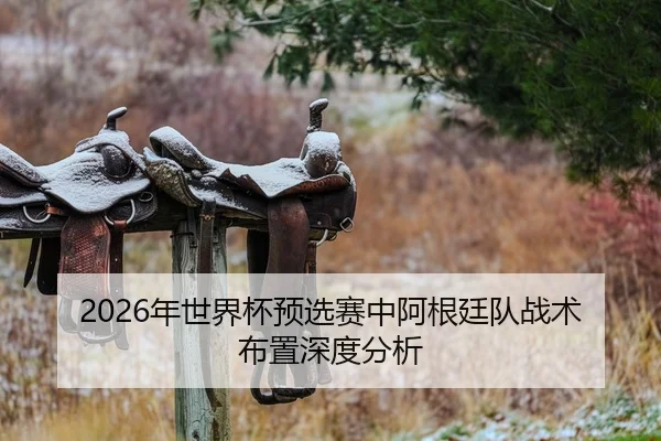 2026年世界杯预选赛中阿根廷队战术布置深度分析
