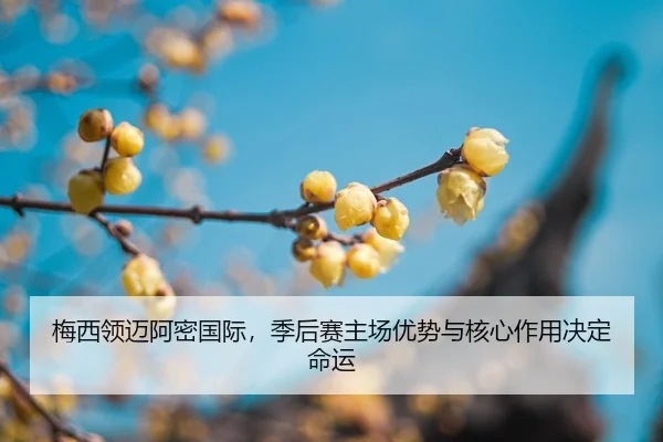 mei-xi-ling-mai-a-mi-guo-ji-ji-hou-sai-zhu-chang-you-shi-yu-he-xin-zuo-yong-jue-ding-ming-yun-2-438.jpg