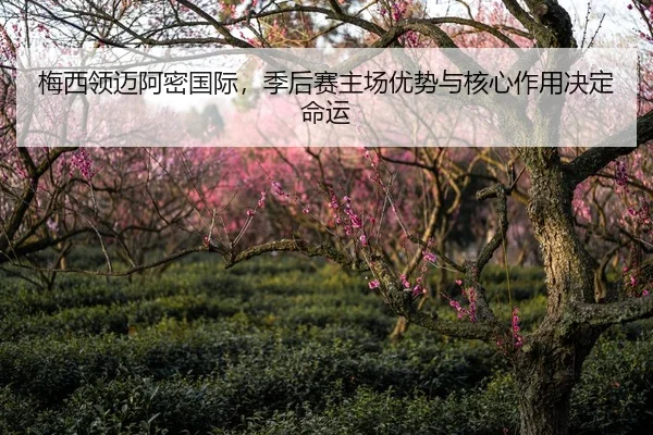 梅西领迈阿密国际，季后赛主场优势与核心作用决定命运