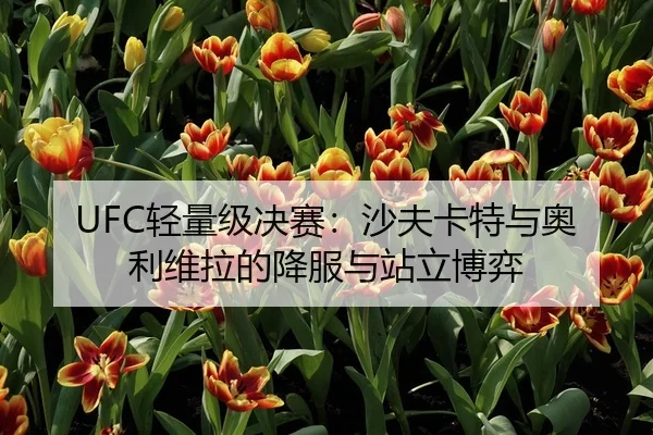 UFC轻量级决赛：沙夫卡特与奥利维拉的降服与站立博弈