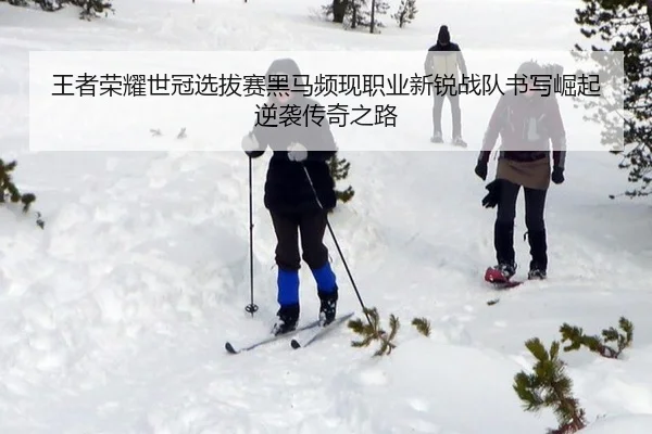 王者荣耀世冠选拔赛黑马频现职业新锐战队书写崛起逆袭传奇之路
