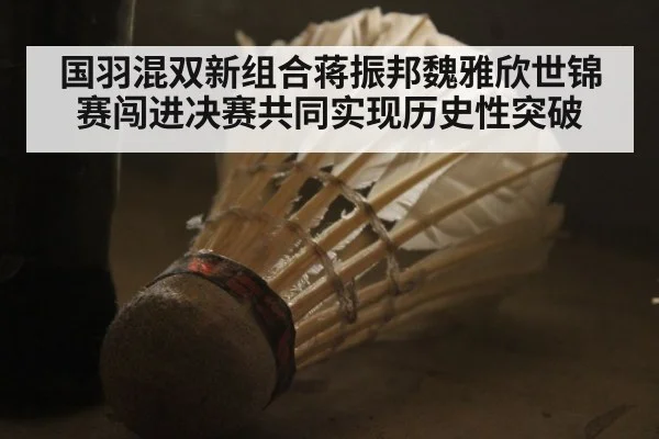 国羽混双新组合蒋振邦魏雅欣世锦赛闯进决赛共同实现历史性突破